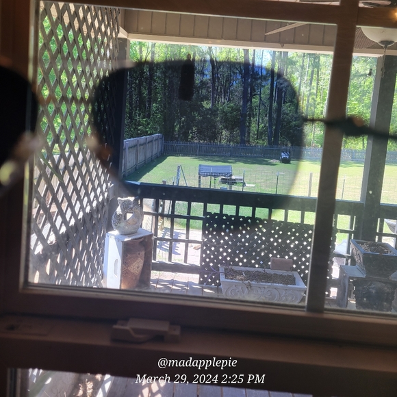 Tiffany & Co TF3052 Aviator Crystal Polorized Sunglasses Designer Luxury #60 - Picture 15 of 16